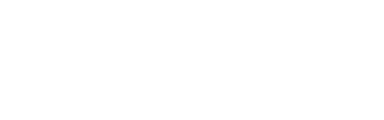  Bats :                Paul Bates, Harrison Institution, UK
•	 Birds :              Matthias Fehlow, Kelkheim, Germany
•	 Frogs :             Thomas Ziegler, Kölner Zoo, Germany
•	 Fishes :            Maurice Kottelat, National University of Singapore
•	 Shrimps :         Dirk Brandis, Christian-Albrechts-Universität zu Kiel, Germany
 Cockroaches :  Leonid Anisyutkin, Russian Academie of Science, St. Petersburg, Russia
	Spiders :           Peter Jäger & Stephen Bayer, Senckenberg Museum, Frankfurt/Main, Germany
 Scorpions :      Wilson Lourenço, Muséum National d’Histoire Naturelle, Paris, France.