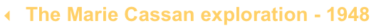 shapeimage_2_link_0