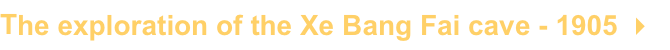 shapeimage_4_link_2